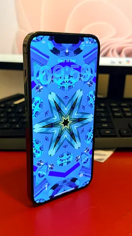 iPhone 13 Pro Max 1TB