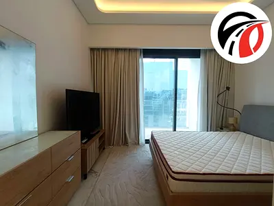 Brand New Luxurious Furnished Studio 1 Covered parking