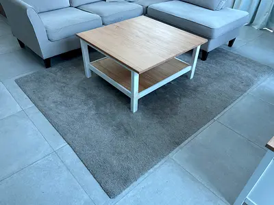 Large neutral grey area rug in good condition, suitable for a living room.