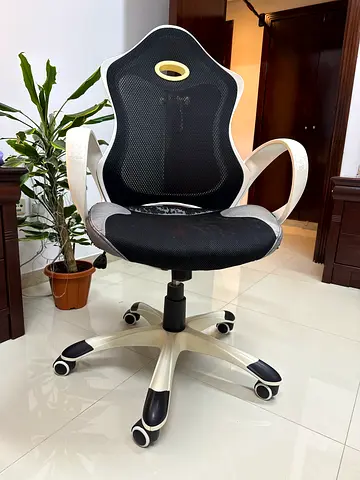 Ergonomic Mesh Office Chair with Lumbar Support - White/Black