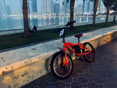 Bmx Sport, 20 inch, Customized, Negotiable, and tradable