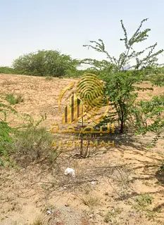 For Sale Industrial Land Shank Sharjah