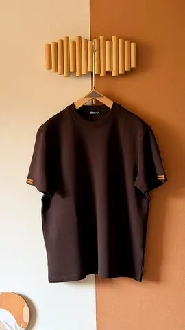 Zegna T-shirt for men