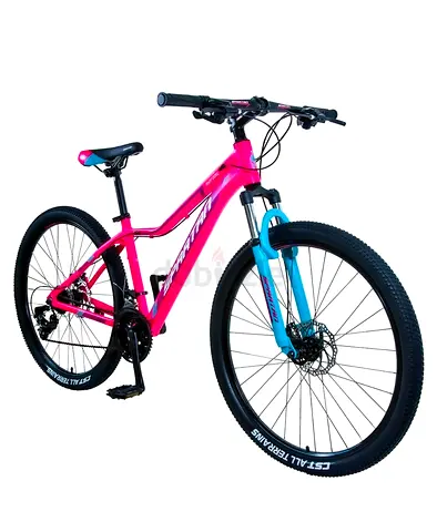 20-inch Mountain Bike — Pink/Blue, Excellent Condition