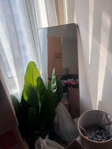Large Full-Length Mirror with Rounded Corners and fake plant - Good Condition