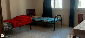 For Two Executive Bachelors. South Indian