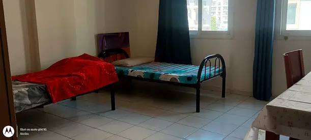 For Two Executive Bachelors. South Indian