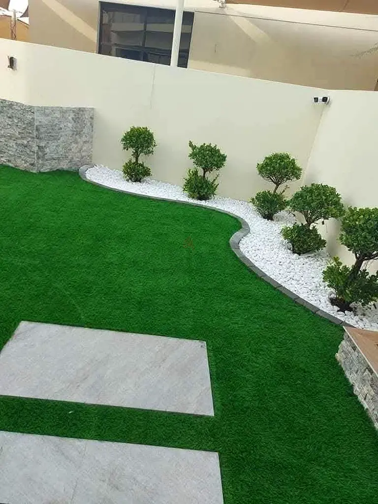 DPV_View_Image_1