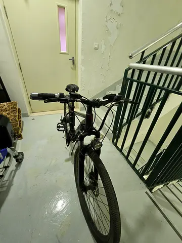 Electric Mountain Bike