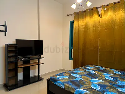 Spacious Private Room with LED TV & Private Washroom for Indian Couples or Ladies with Balcony