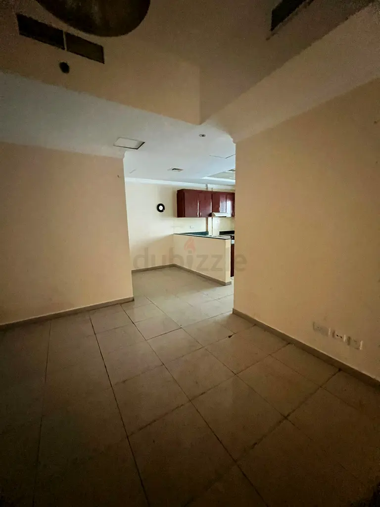 DPV_View_Image_2