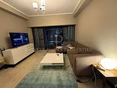 1BR + Store| Fully Furnished| Lake View| 15 Nov available|