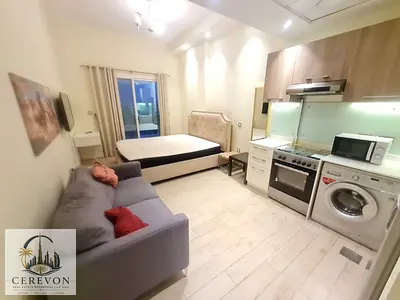 Vacant Furnished Spacious Studio With Balcony near Park