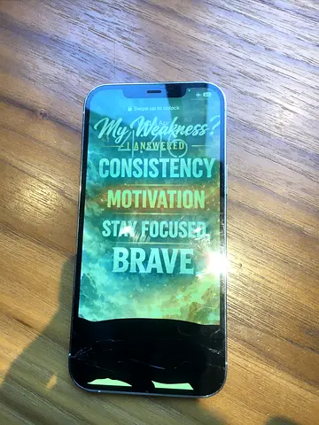 iPhone 12 Pro Max 256GB – Damaged