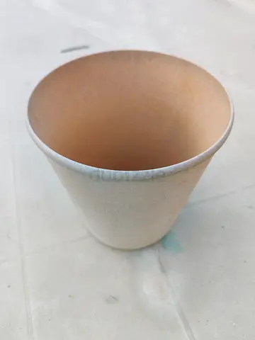 Plastic Plant Pot