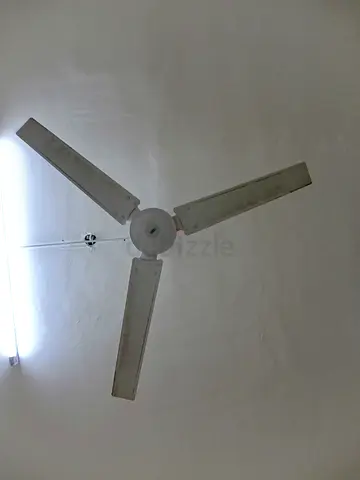Ceiling fan