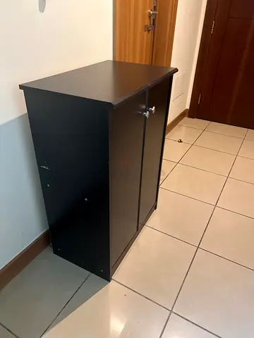Two-Door Shoe Cabinet