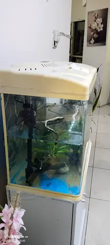 Aquarium for sale