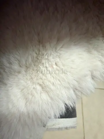 White fluffy rug