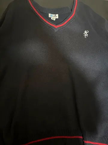 Navy V-neck Lightweight Sweater with Red Trim (Men's) - Good Condition. GFS sweater, size 34.