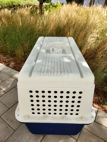 Dogs carriers for air travel