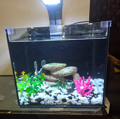 Compact 20-30L Glass Aquarium Tank with LED Light and Decor