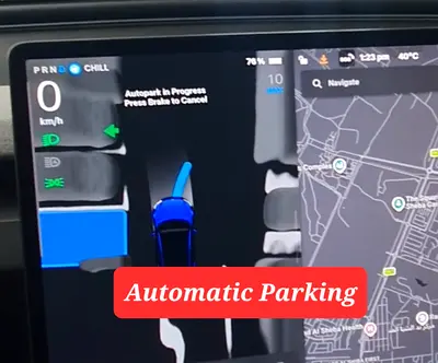 2024 Tesla MODEL 3 照片 2