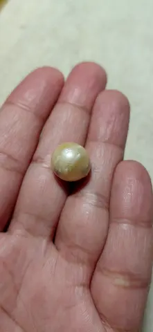 Natural round pearl (single) - loose pearl for jewelry