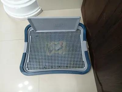 Plastic Dog/ Puppy Training Toilet Tray with Grid - Good Condition