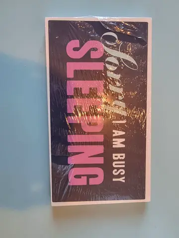 Decorative Wall Plaque - "Sorry I Am Busy Sleeping" (New)