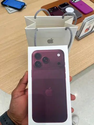 18 pro max Burgandy