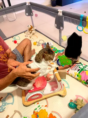 Playpen