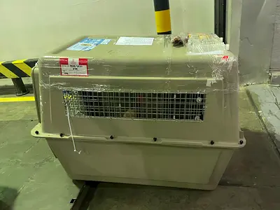 Dogs carriers for air travel Giant