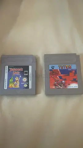 Dragons lair and Tetris for the Gameboy