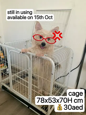 White metal dog cage 78x53x70 cm - used, available 15 Oct, AED 30