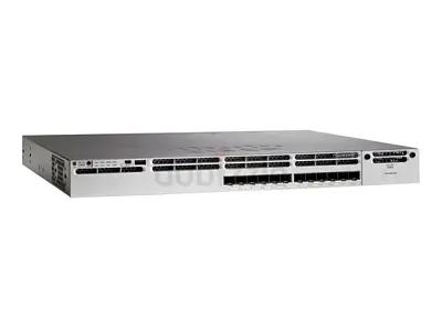 cisco