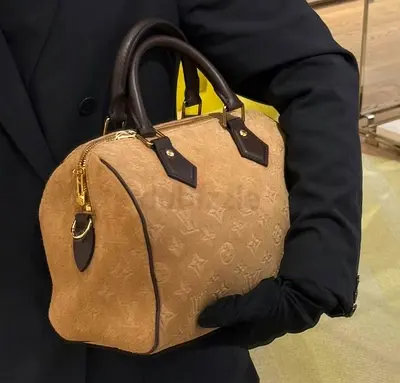Lv Bag