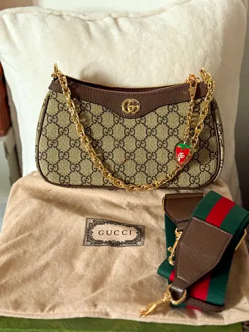 Elegant stylish bag with two straps