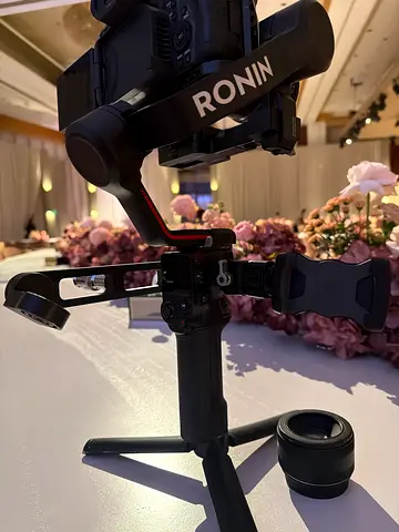 Ronin