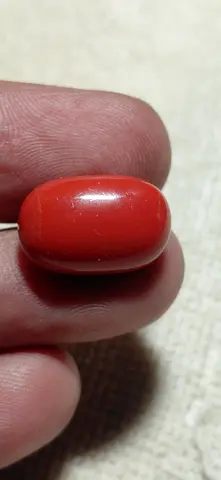 Small Polished Red Coral-like Collectible