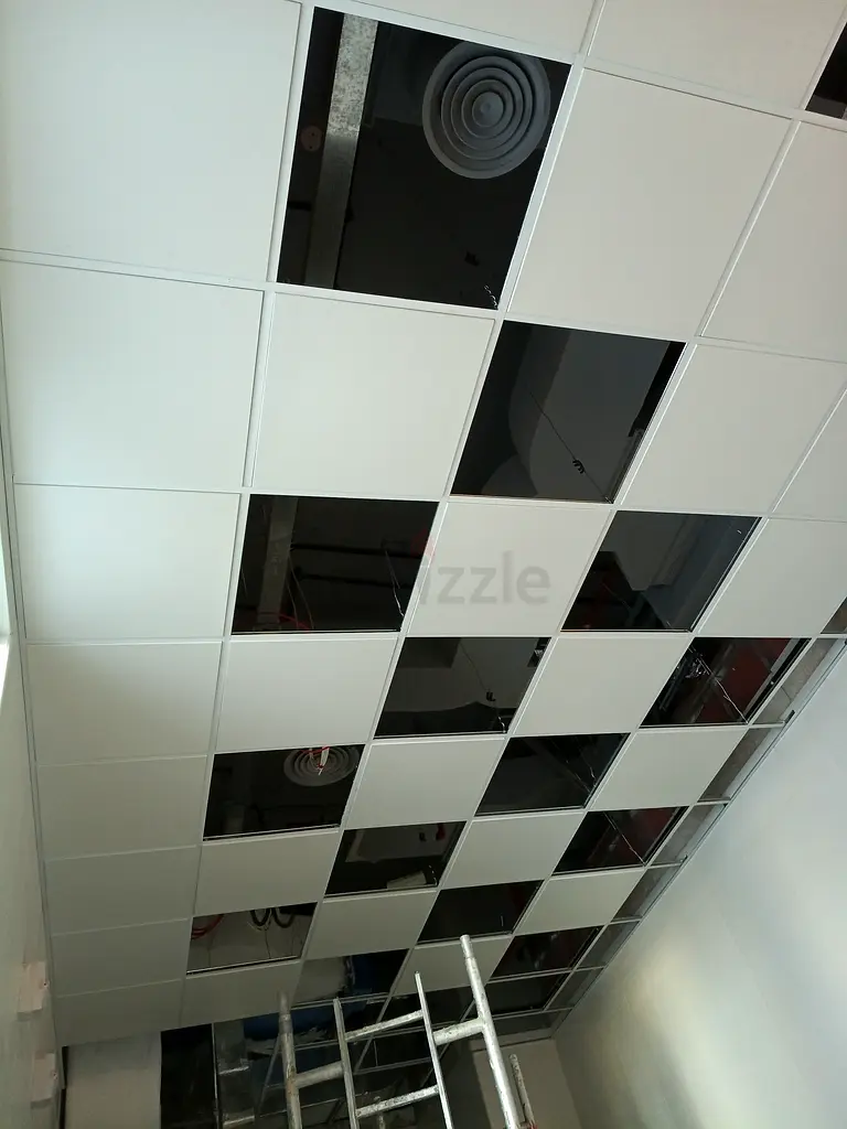 DPV_View_Image_2