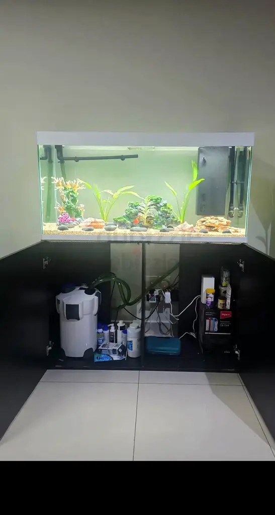 DPV_View_Image_6