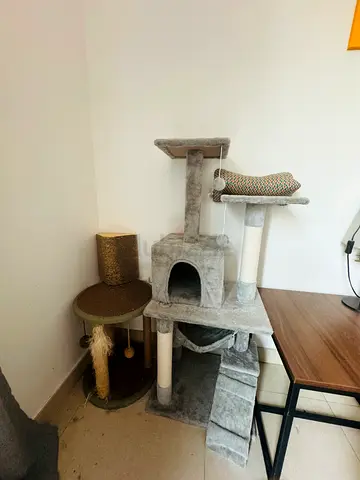 Used grey multi-level cat tree with scratching posts and hideout