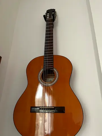 aria classical guitar