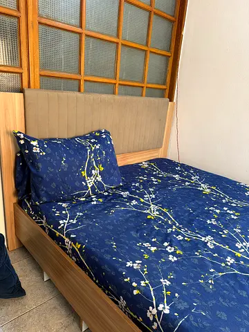 Queen Size Bed & Mattress