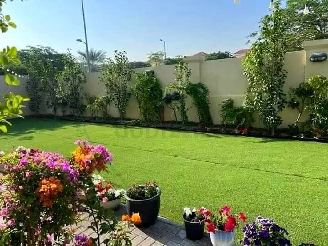 DPV_View_Image_2
