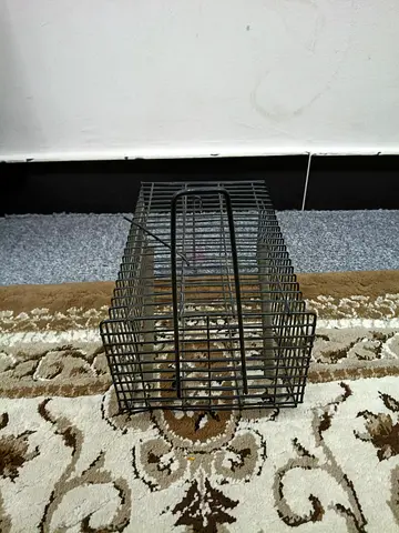 Small metal bird/rat cage