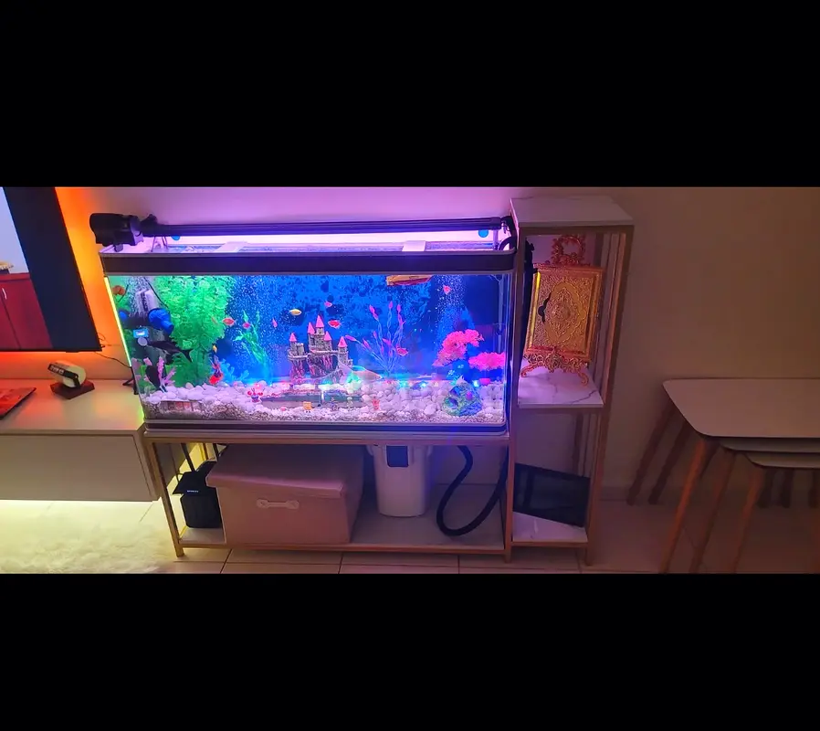 DPV_View_Image_5