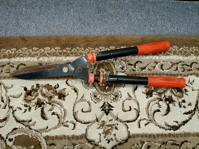 Garden hedge shears