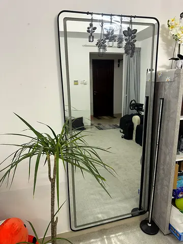 Large Full-Length Mirror with Black Frame